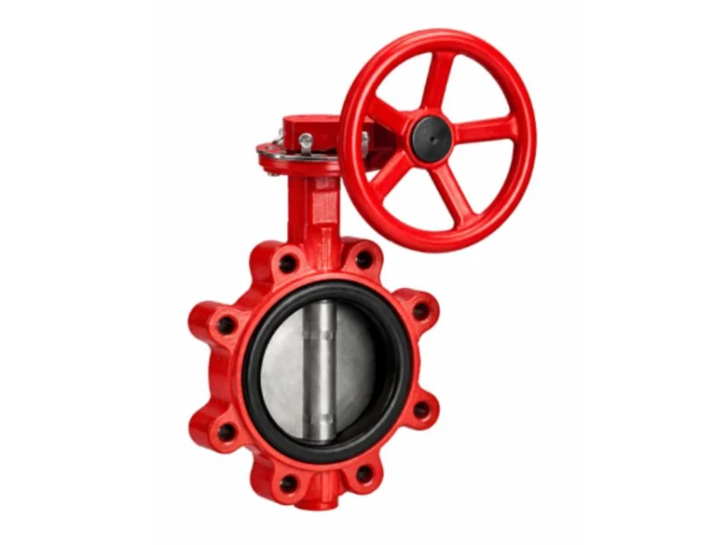 Sustainable Water Solutions: The Role of Cla-Val Valves in Dubai