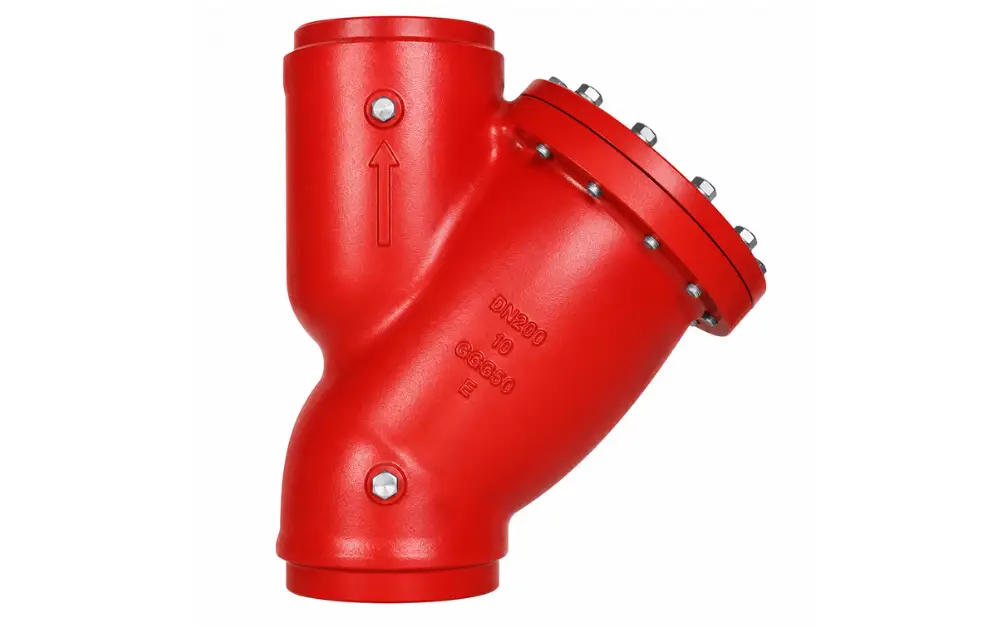 What Is a Y Strainer