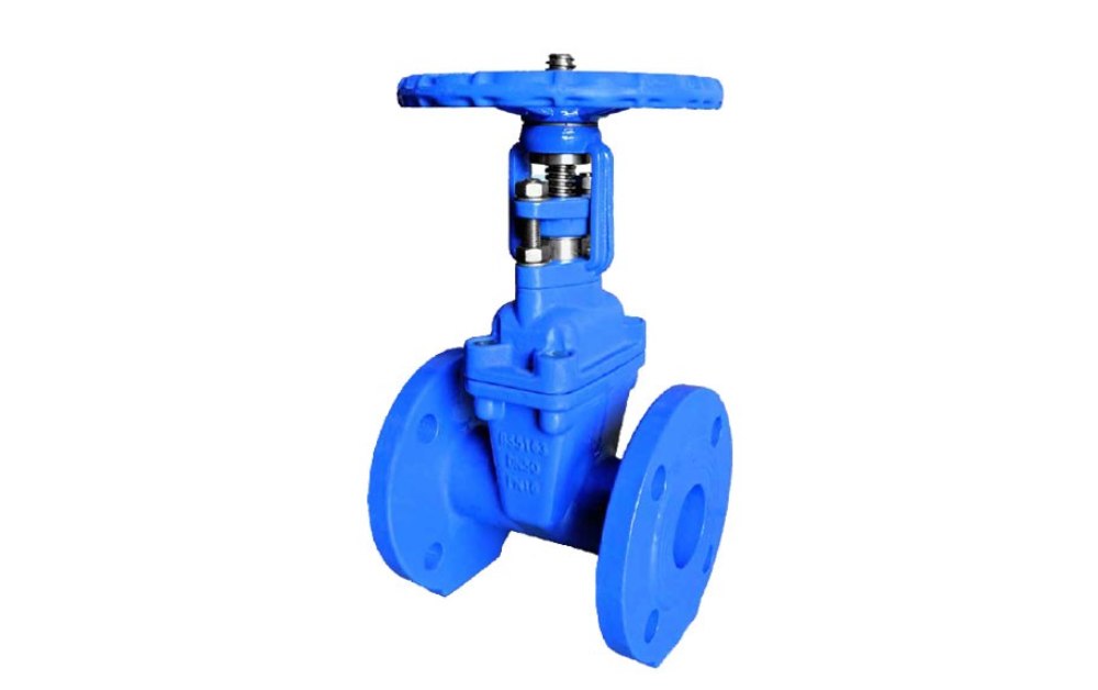 What is an OS&Y Gate Valve?